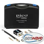 PICO WPS500X Pressure Transducer Kit