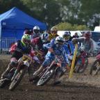 Matthew.halpin's Avatar